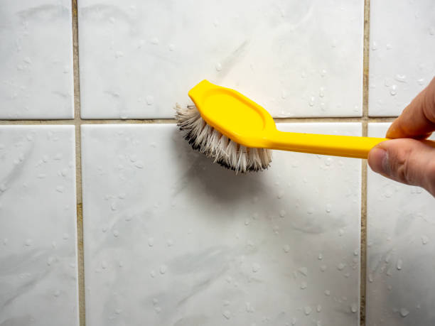 Best Mold Removal Company Near Me  in Fenton, MI