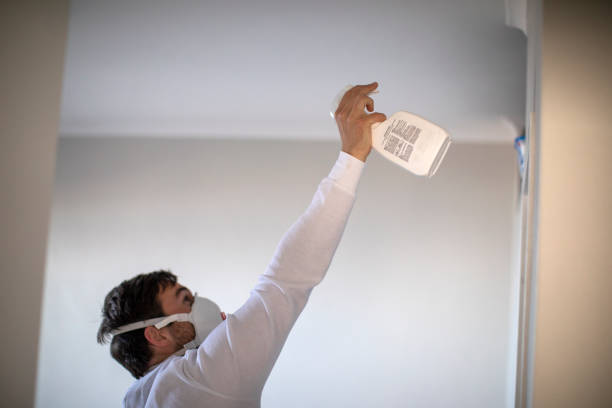 Best Residential Mold Removal  in Fenton, MI