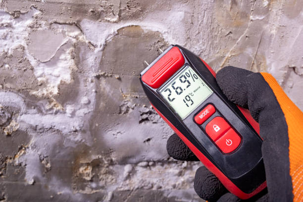 Best Mold Remediation Experts  in Fenton, MI