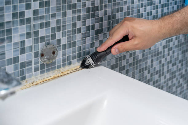 Best Mold Cleaning Services  in Fenton, MI